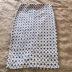 Zara High-Waisted Pencil Skirt